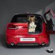 thumbnail MINI opens its doors to paws with Dogs Trust