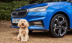 thumbnail Anything is paw-sible as Škoda is confirmed as Official Automotive Partner of Crufts