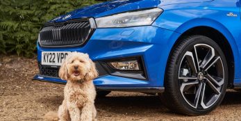 thumbnail Anything is paw-sible as Škoda is confirmed as Official Automotive Partner of Crufts