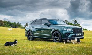 thumbnail Bentley raises the woof at Goodwood’s Festival for dogs