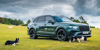 thumbnail Bentley raises the woof at Goodwood’s Festival for dogs